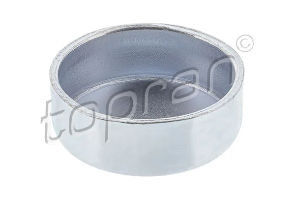 Frost Plug