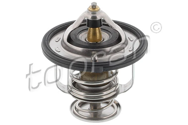 Thermostat, coolant