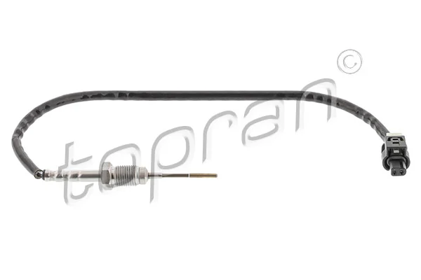 Sensor, exhaust gas temperature