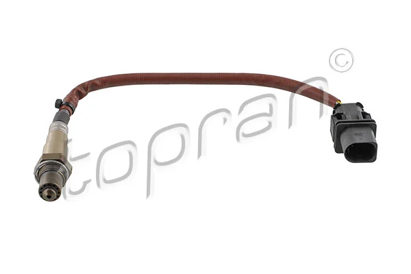 Oxygen Sensor