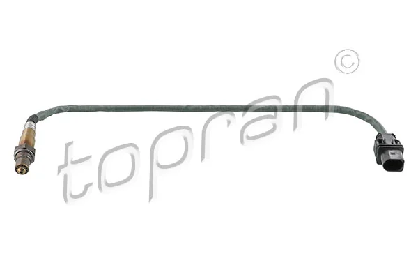 Oxygen Sensor