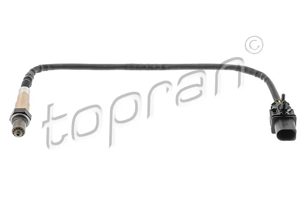Oxygen Sensor