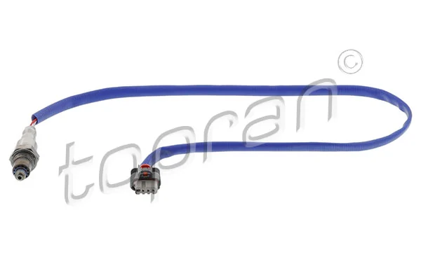 Oxygen Sensor