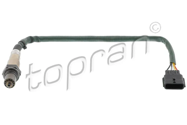 Oxygen Sensor