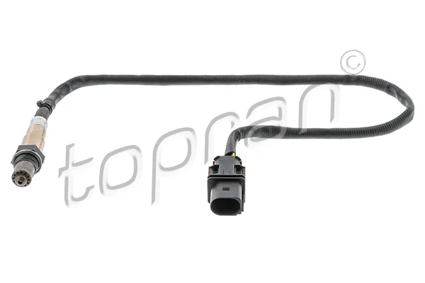 Oxygen Sensor