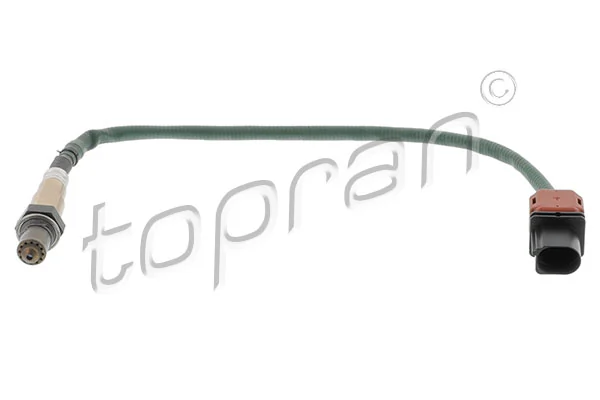 Oxygen Sensor