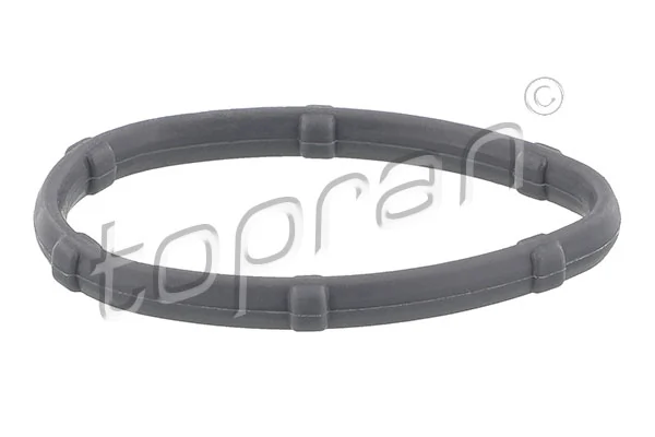 Gasket, intake manifold