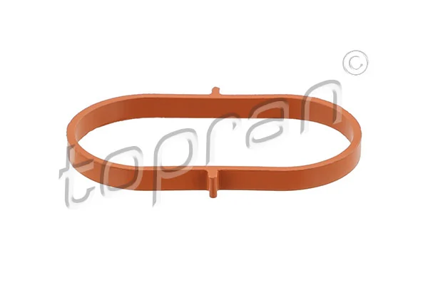 Gasket, intake manifold