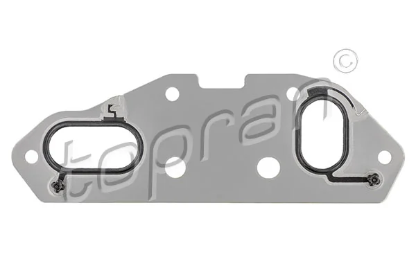 Gasket, oil cooler