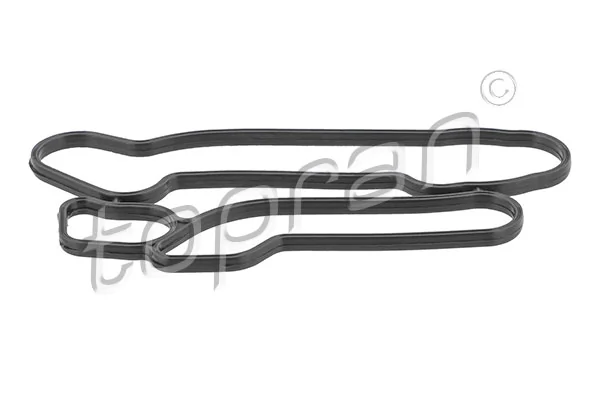 Gasket, oil cooler