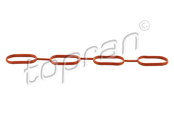Gasket, intake manifold