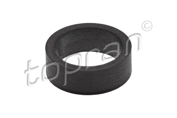Seal Ring, injector