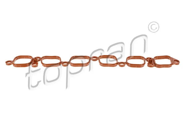 Gasket, intake manifold