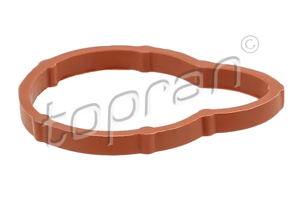 Gasket, intake manifold