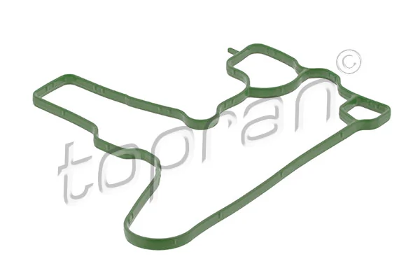 Gasket, crankcase ventilation