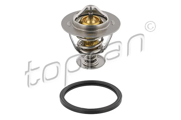Thermostat, coolant