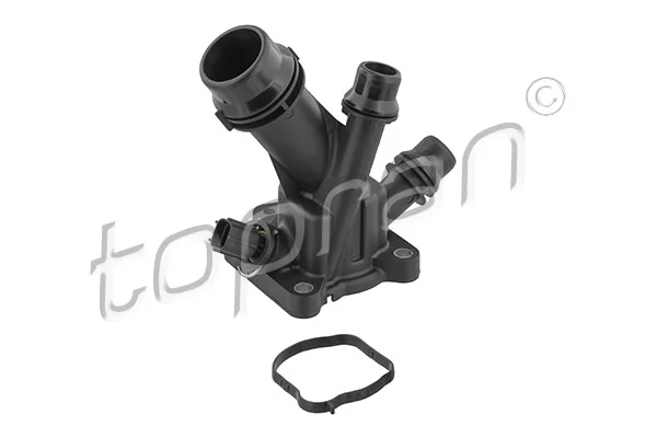 Thermostat, coolant