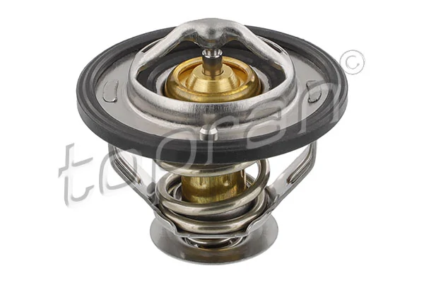 Thermostat, coolant