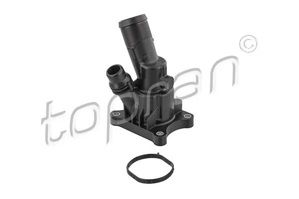 Thermostat, coolant