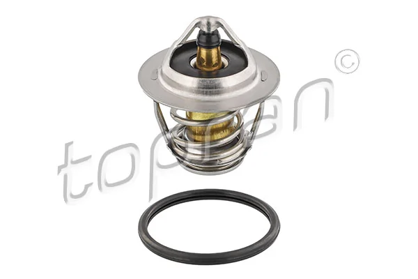 Thermostat, coolant