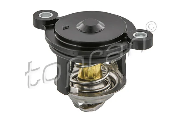 Thermostat, coolant