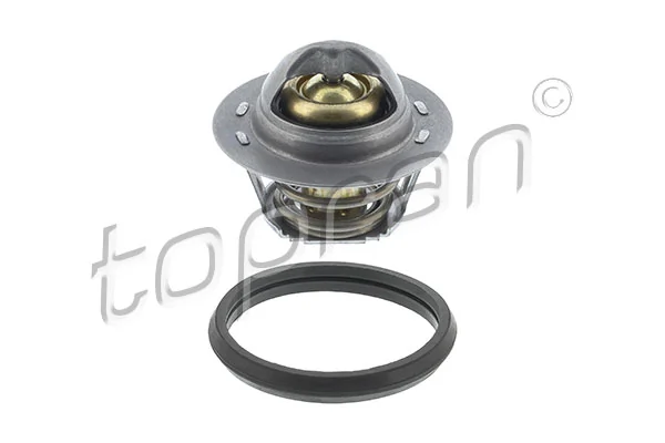 Thermostat, coolant