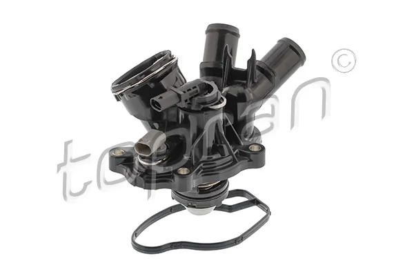Thermostat, coolant