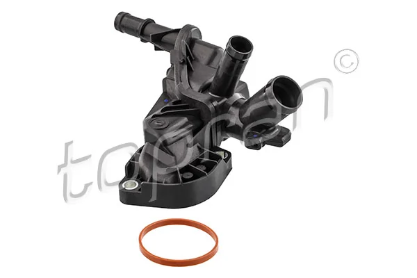 Thermostat, coolant