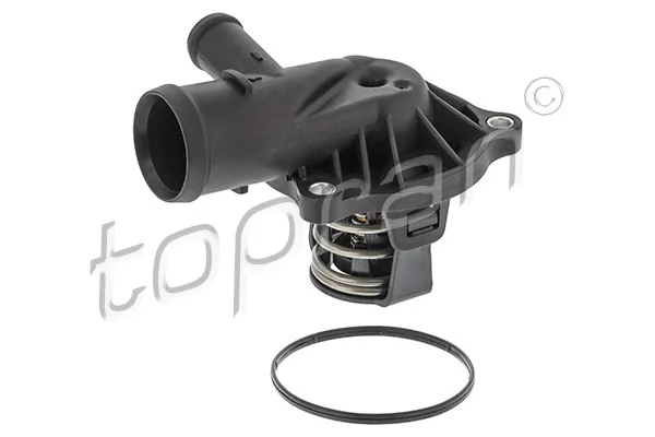 Thermostat, coolant