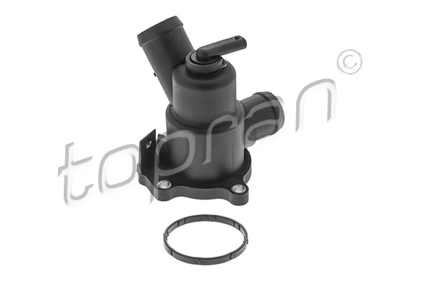 Thermostat, coolant