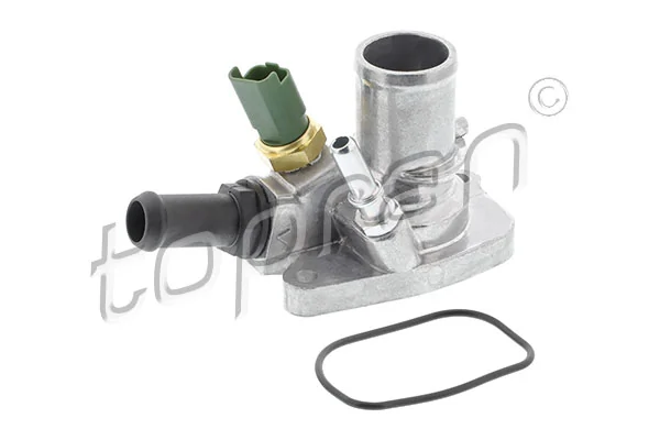 Thermostat, coolant