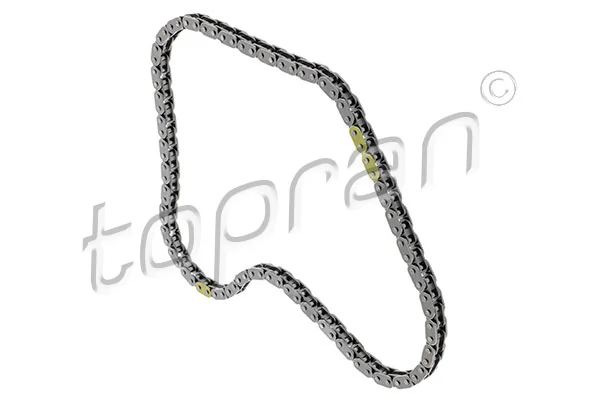 Chain, oil pump drive