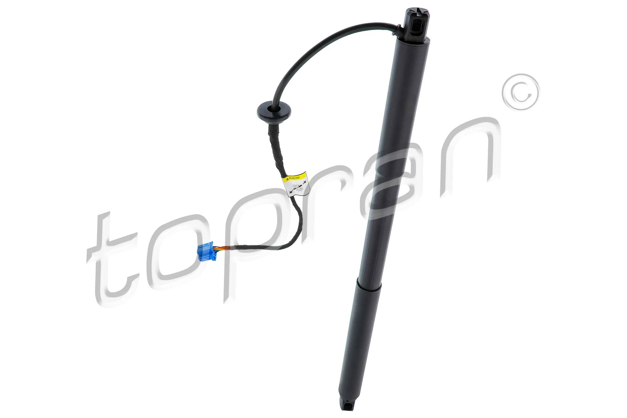 Electric Motor, tailgate