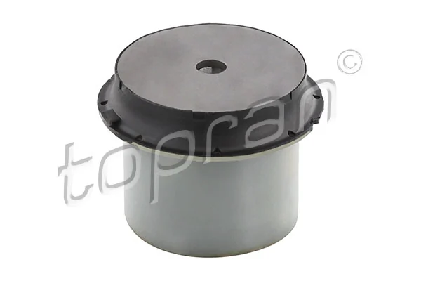 Bushing, axle beam