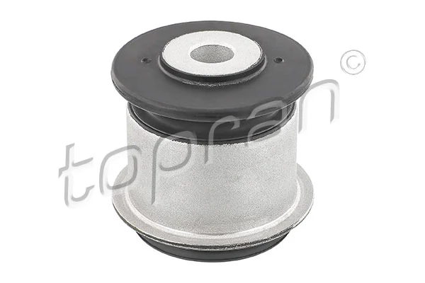 Mounting, control/trailing arm