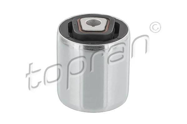 Mounting, control/trailing arm