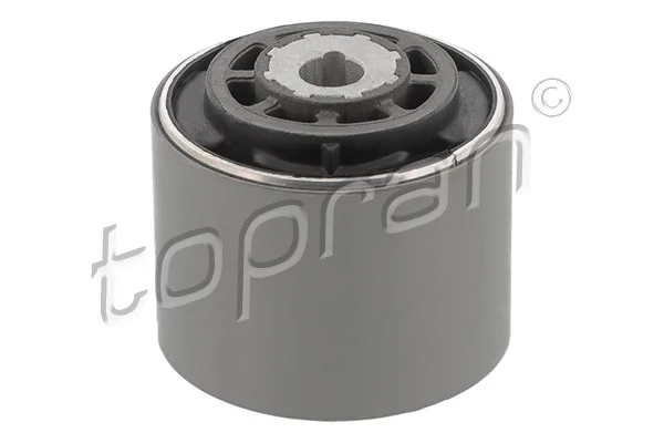 Mounting, control/trailing arm