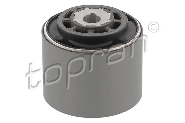Mounting, control/trailing arm