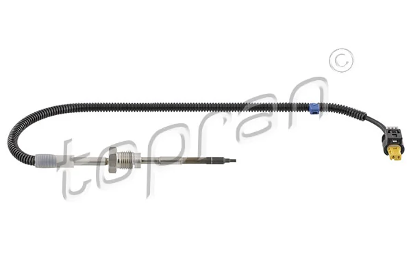 Sensor, exhaust gas temperature