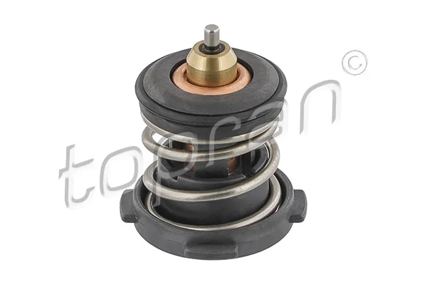 Thermostat, coolant