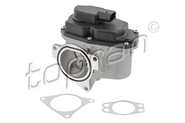 EGR Valve