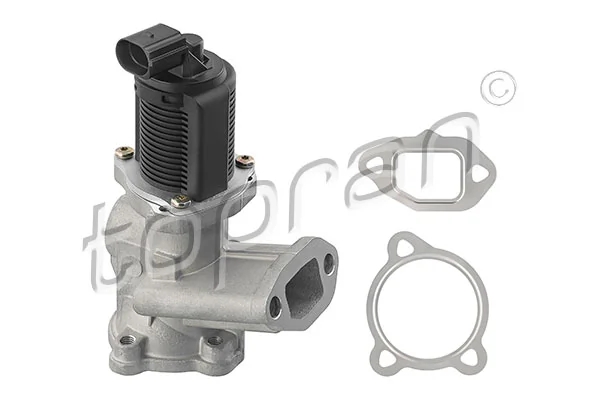 EGR Valve
