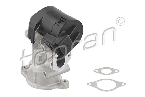 EGR Valve