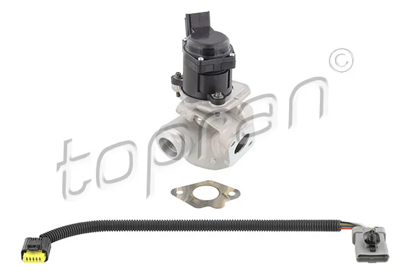 EGR Valve