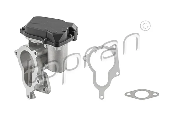 EGR Valve