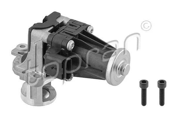EGR Valve