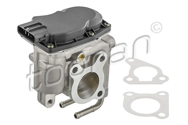 EGR Valve