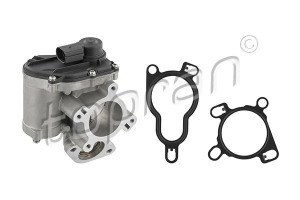 EGR Valve