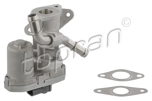 EGR Valve