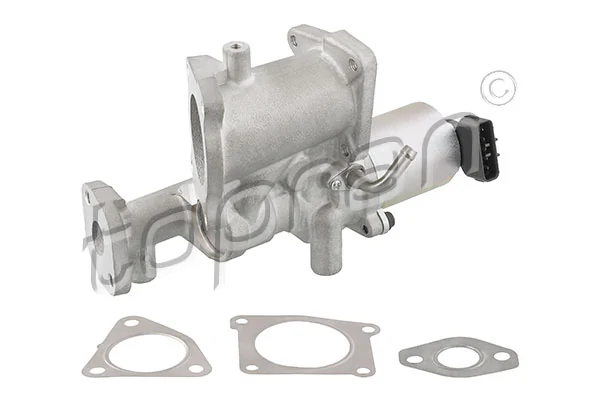 EGR Valve